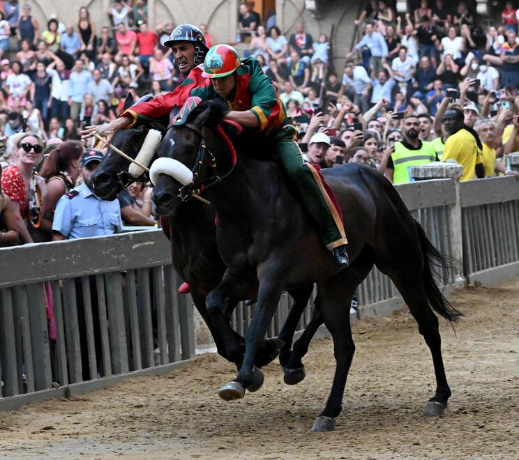 Palio di Siena: 8 cavalli sardi tra i 10 di Piazza del Campo