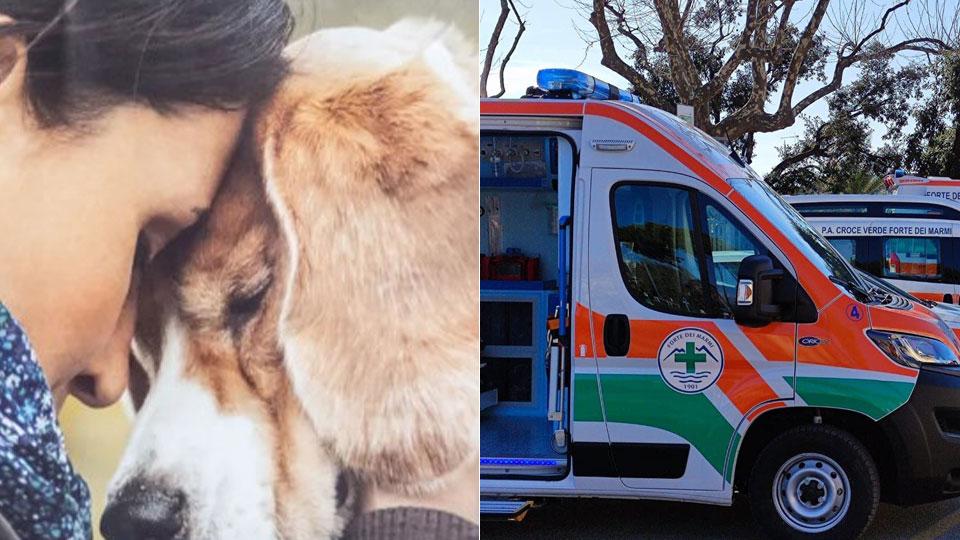 Viareggio, arrivano i soldi del 5 per mille: boom a favore degli animalisti
