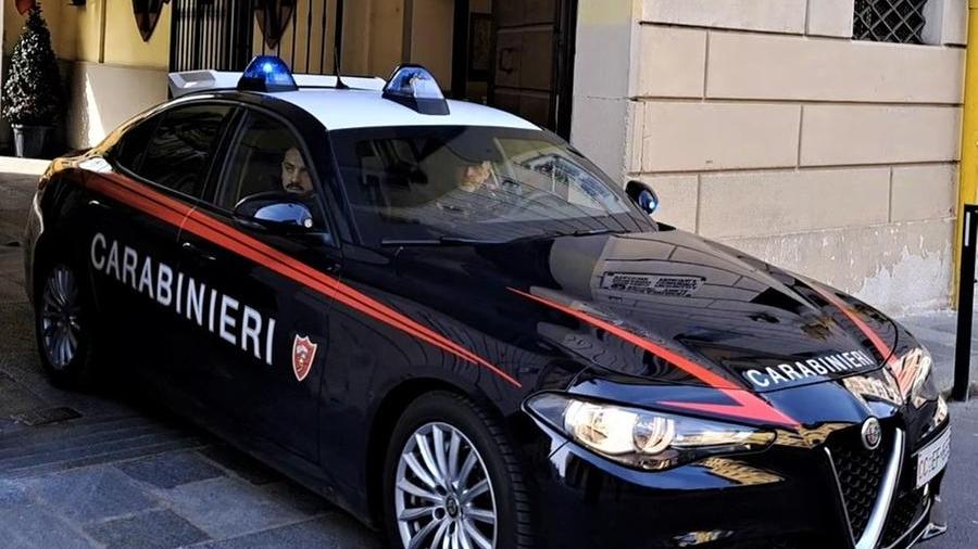 Poviglio, alla guida della ruspa con il braccio meccanico cerca di colpire un uomo e un minore: arrestato