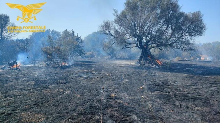 Nove incendi nell’isola alimentati dal maestrale