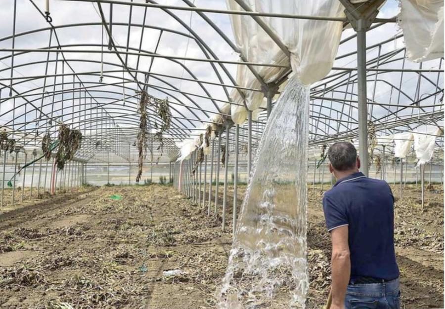 
	Una delle serre dell&rsquo;azienda devastata dalla tromba d&rsquo;aria (foto di Paolo Barlettani)

