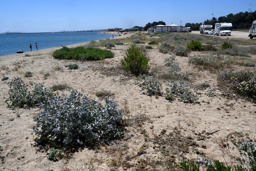 
	Un tratto dell'area ovest di Torregrande dove nascer&agrave; il percorso ciclo-pedonale

