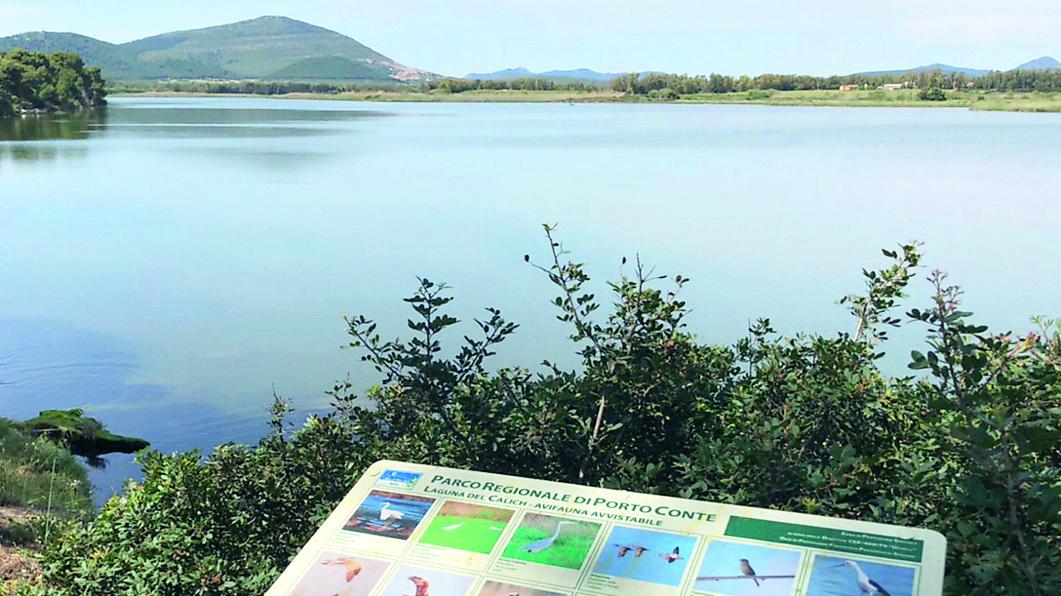 L'Ente Parco: «Ora le acque reflue finiscono nel Calich, riattivate le condotte»