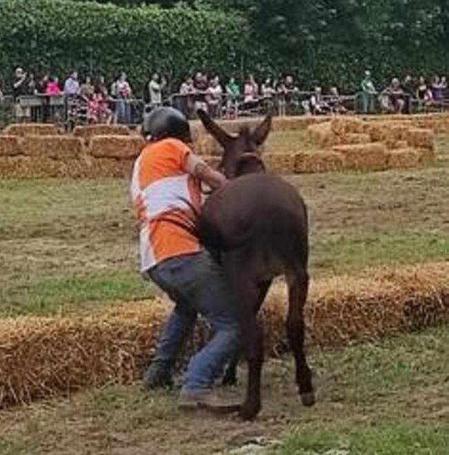Montecreto, ma che spettacolo il Palio degli asini: trionfo della Piazza 