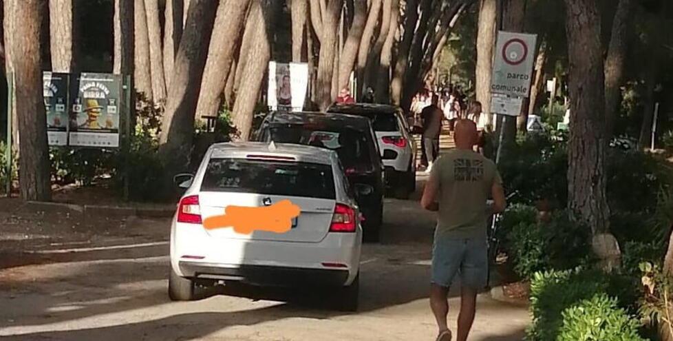 Castiglioncello, le auto entrano nella pineta facendo lo slalom tra i pedoni