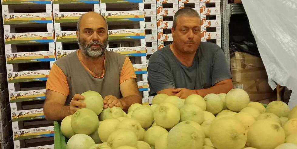 Meloni e angurie, perle di Maremma: l’eccellenza dal campo alla tavola