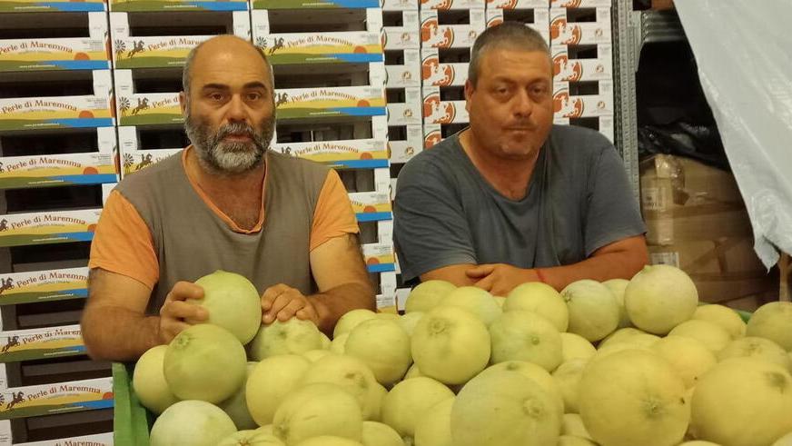 Meloni e angurie, perle di Maremma: l’eccellenza dal campo alla tavola