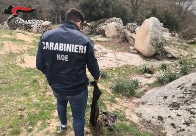 Olbia, quindici persone indagate per traffico di rifiuti pericolosi