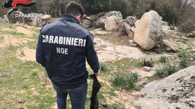 Olbia, quindici persone indagate per traffico di rifiuti pericolosi