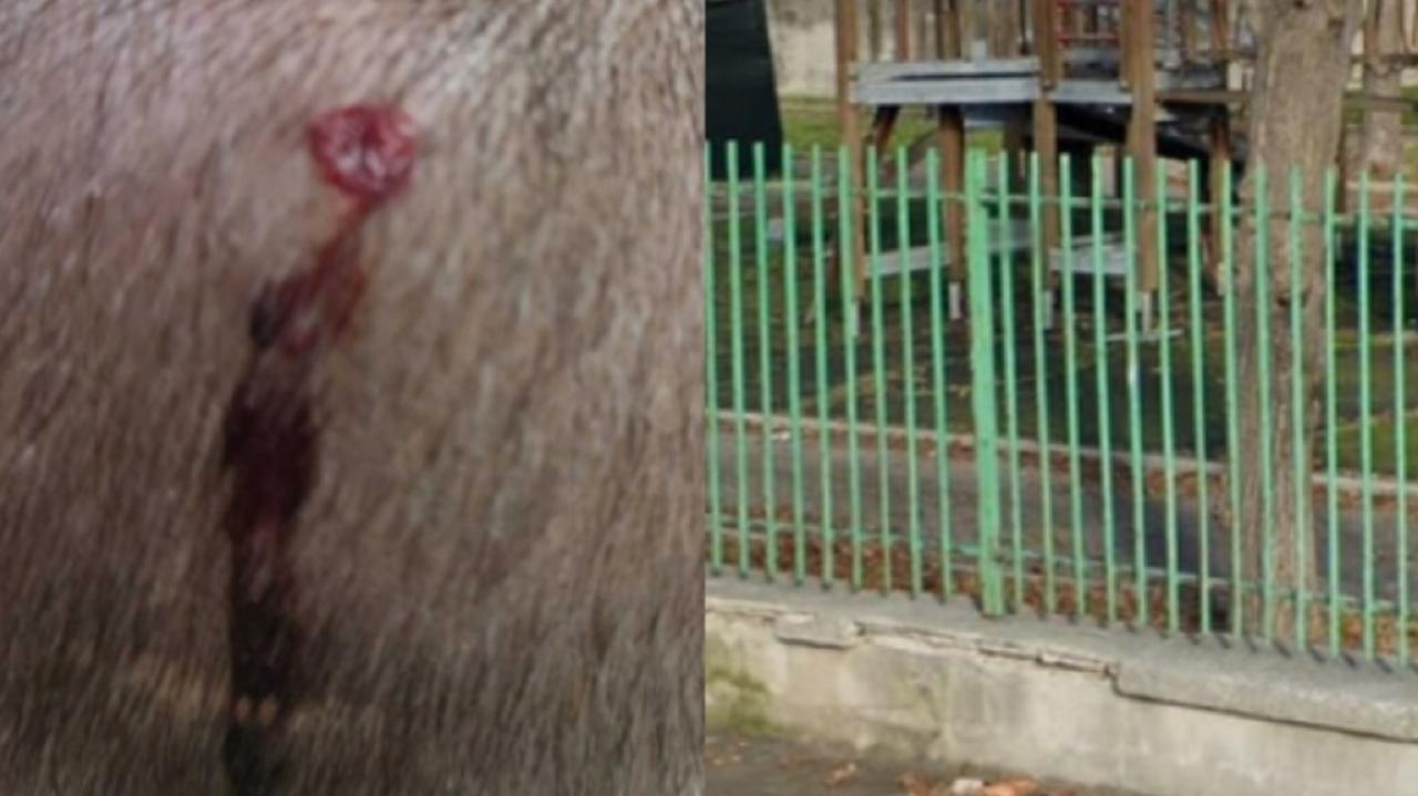 A sinistra la ferita sulla testa della ragazzina, a destra il parco giochi di via Gobetti