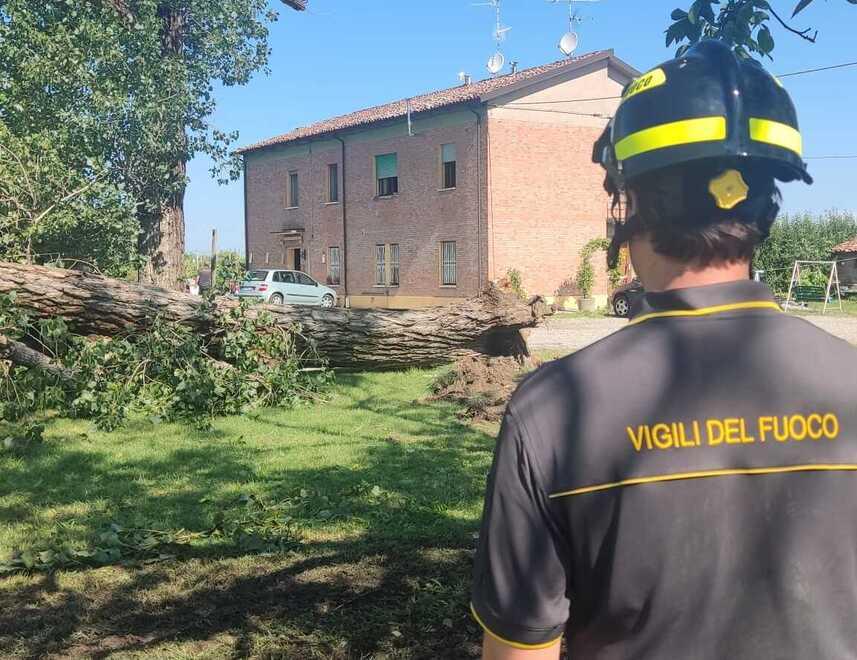 Maltempo a Modena, danni ingenti: agricoltura in ginocchio 