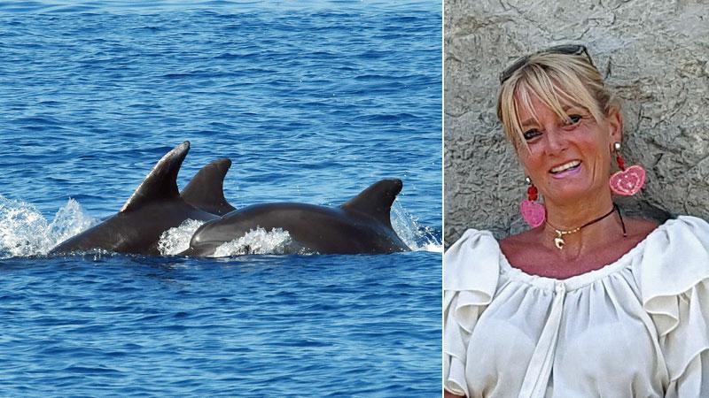 L’allarme della dottoressa dei delfini: «Nel nostro mare c’è troppa attività dell’uomo»