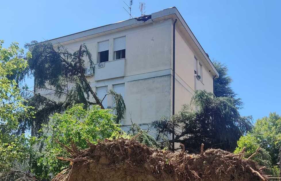 Castelfranco, «L’albero ci è “entrato” in casa Che spavento, ma nessun ferito» 