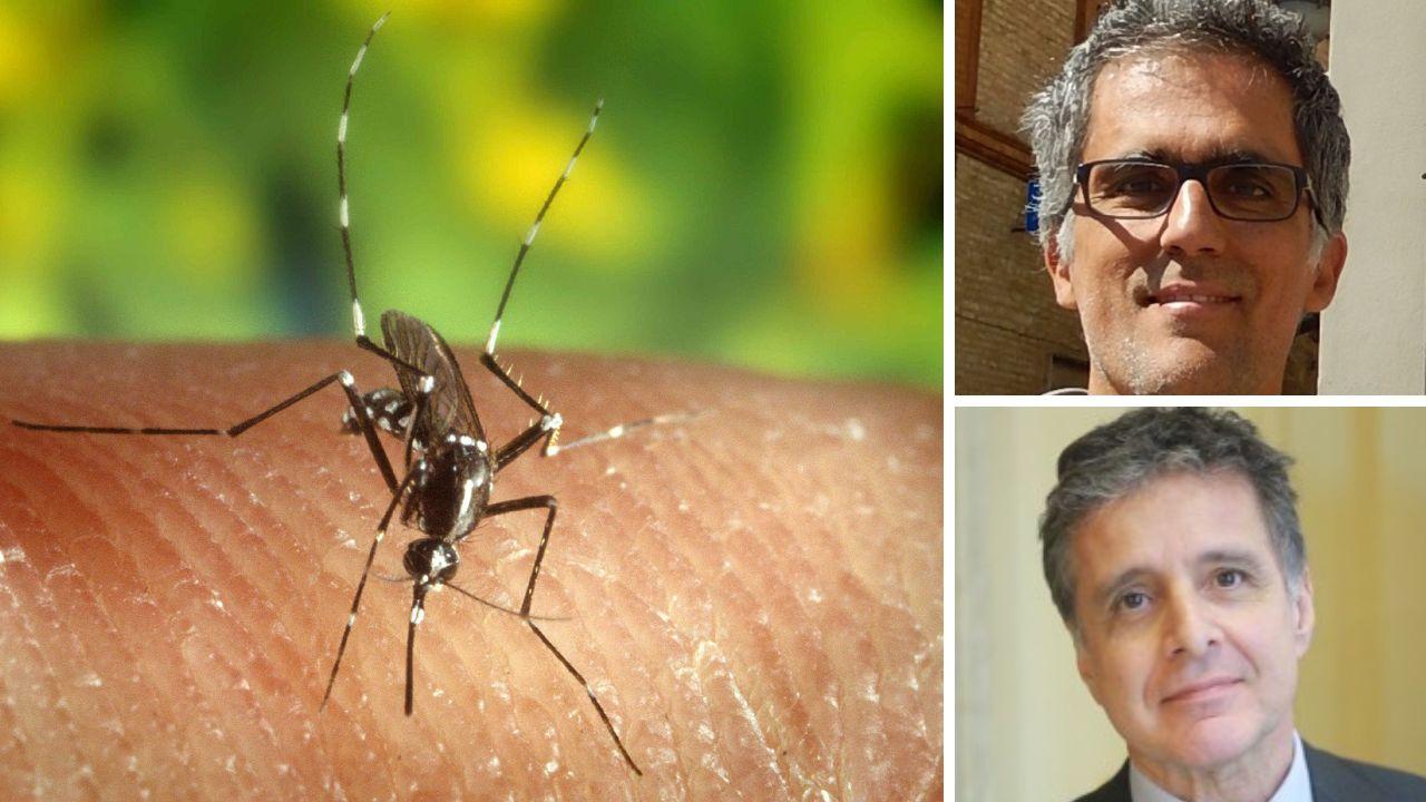 In alto a destra l'entomologo Claudio De Liberato; sotto il dermatologo Luigi Naldi
