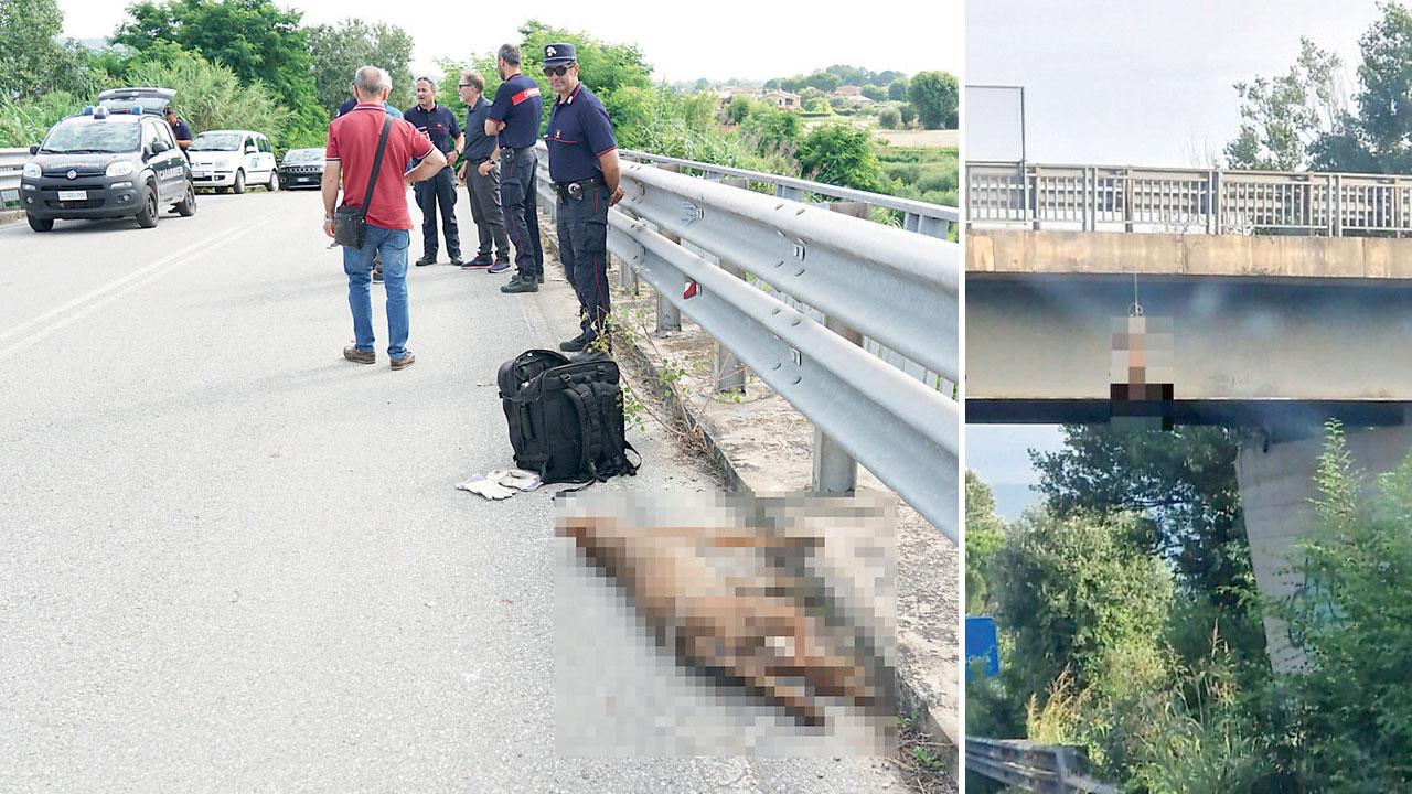 Animale appeso in Fi-Pi-Li, l’esperto non ha dubbi: «È un lupo»