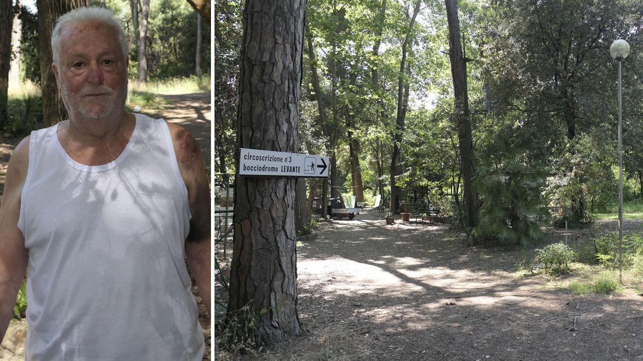 Viareggio, rapinato in pieno giorno nella pineta: «Colpito con un bastone»