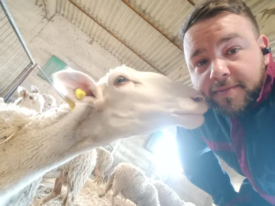
	Nella foto Parrucci con una delle sue pecore

