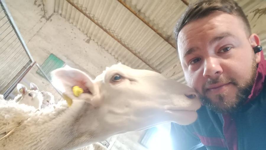 Nella foto Parrucci con una delle sue pecore