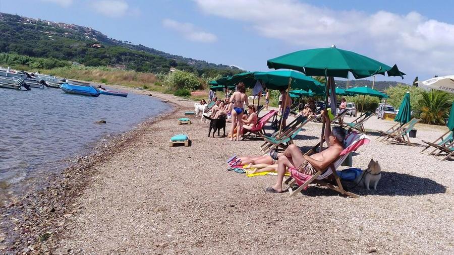 Un dettaglio della spiaggia per cani di Mola