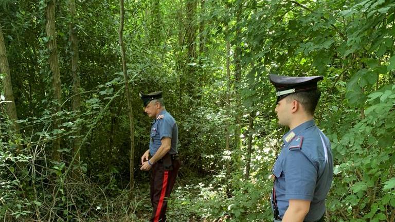 Supermercato della droga a Capannori: arrestato
