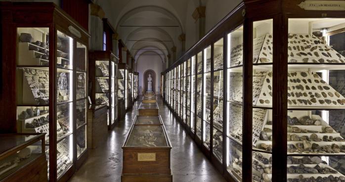 Furto ai Musei Civici, spariti otto reperti della Collezione Chierici