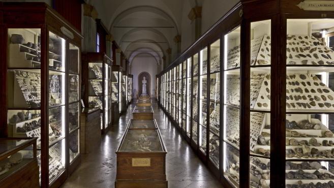 Furto ai Musei Civici, spariti otto reperti della Collezione Chierici