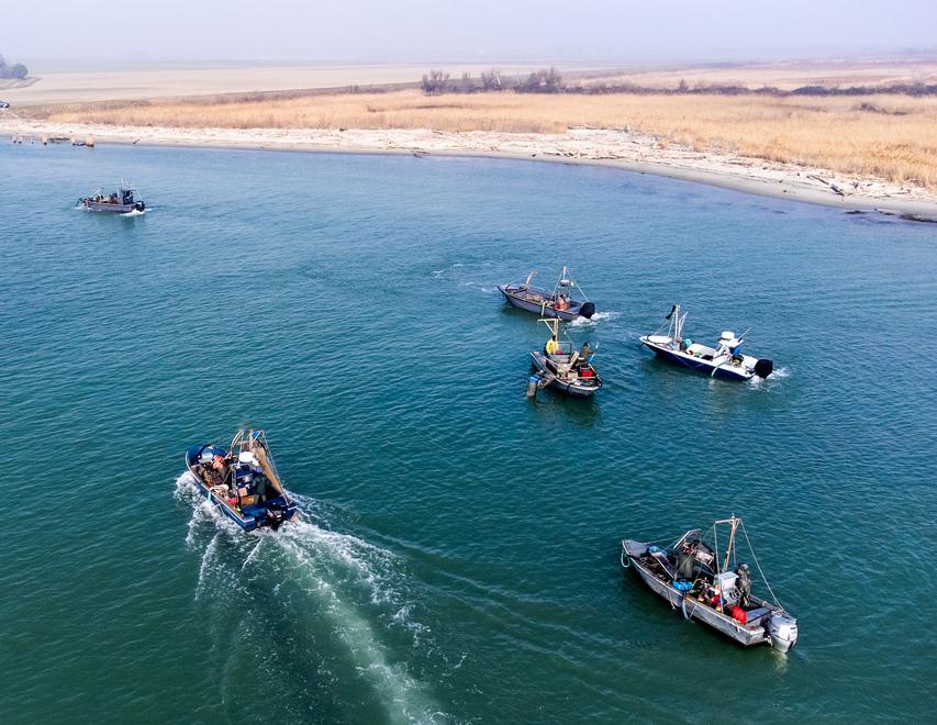 Barche, comprarle è un’odissea. «Tempi infiniti per i permessi»<br type="_moz" />
