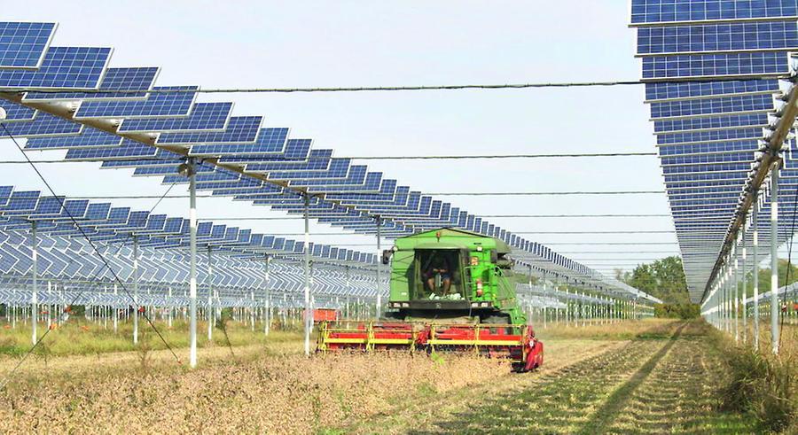 Agrivoltaico e fotovoltaico: è boom. Altri quattro progetti in provincia di Grosseto