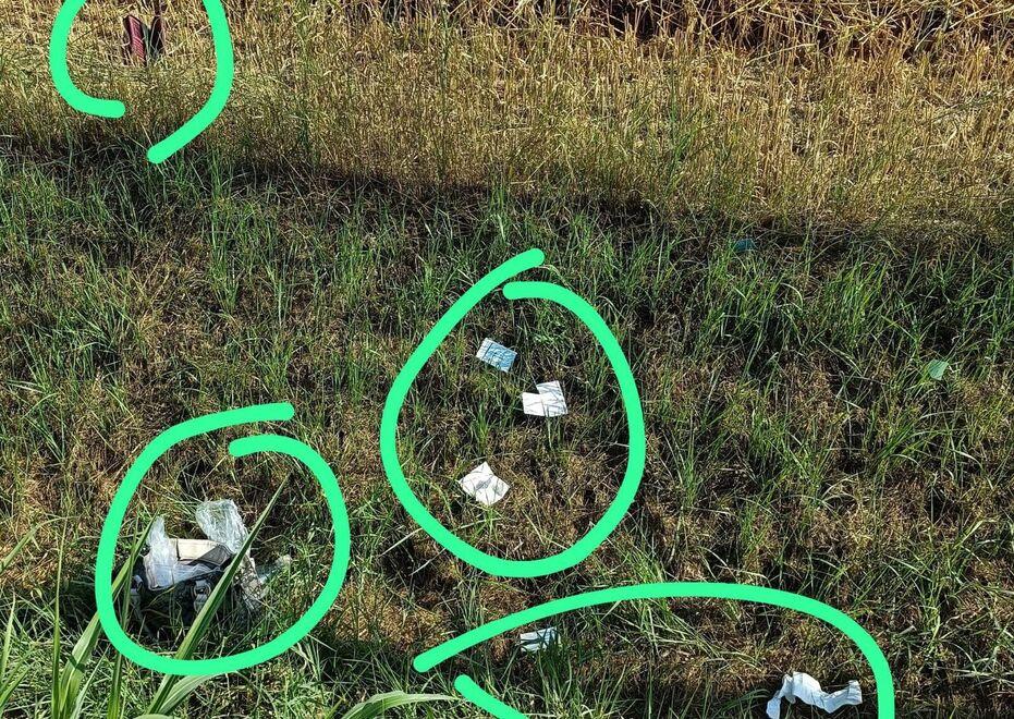 San Possidonio, è nell’orto: le rubano la borsetta e fanno in tempo a svuotarle il conto 