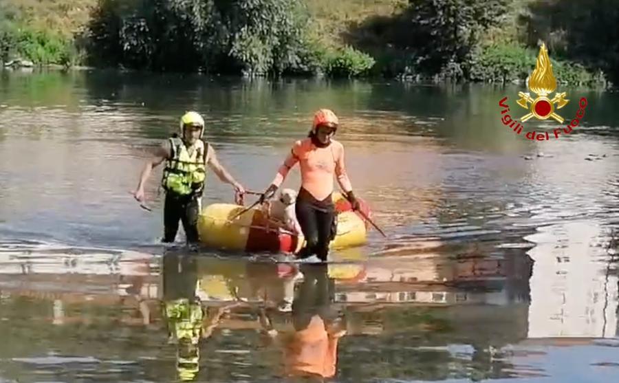 Lucca, i vigili del fuoco salvano un cane nel Serchio