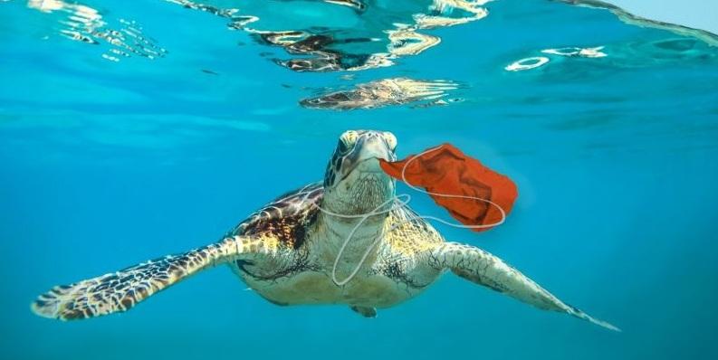  “Lidi Blu”, il mare da scoprire