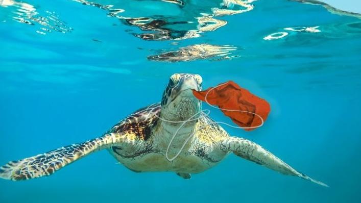 “Lidi Blu”, il mare da scoprire