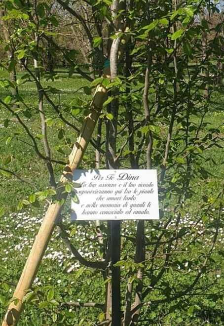 Modena, «La targa in ricordo di mia nonna Dina rubata al parco Ferrari» 