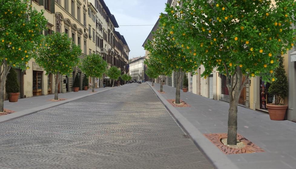 Firenze, due ali di alberi di arancio e via Cavour si trasforma