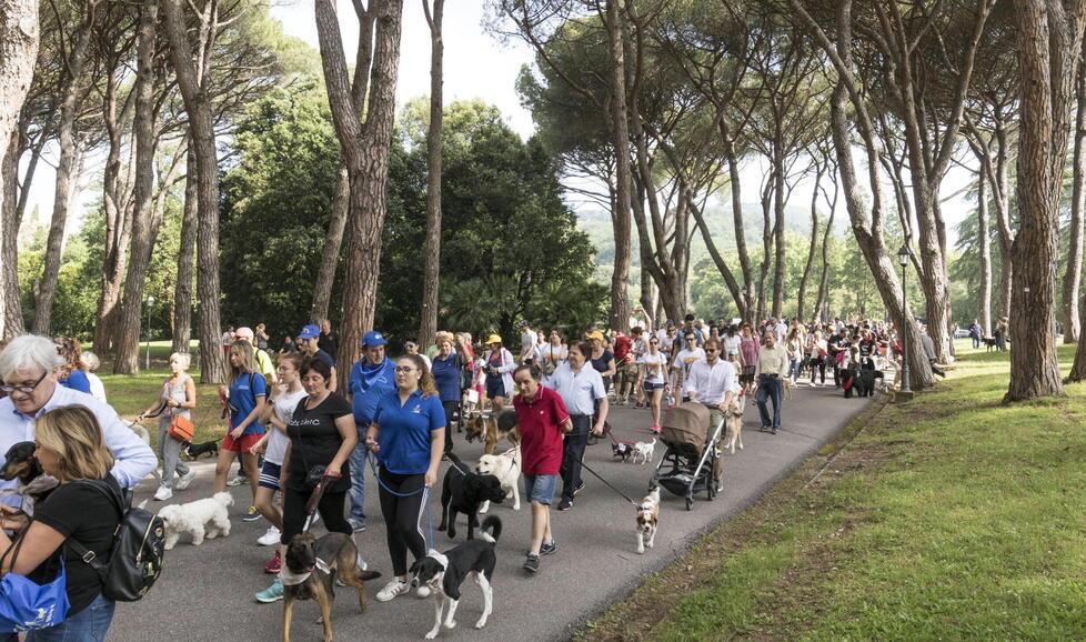 Montecatini, petardi contro i cani in pineta: «Evitato per poco il peggio»