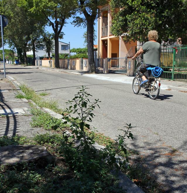 Incuria a Lido Volano. I residenti: «Lampioni fuori uso, costretti a muoverci con la torcia»