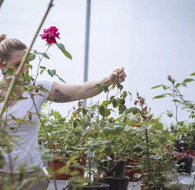 Alla scoperta del giardino-vivaio Fiori Ribelli: «Coltiviamo la bellezza in centro»