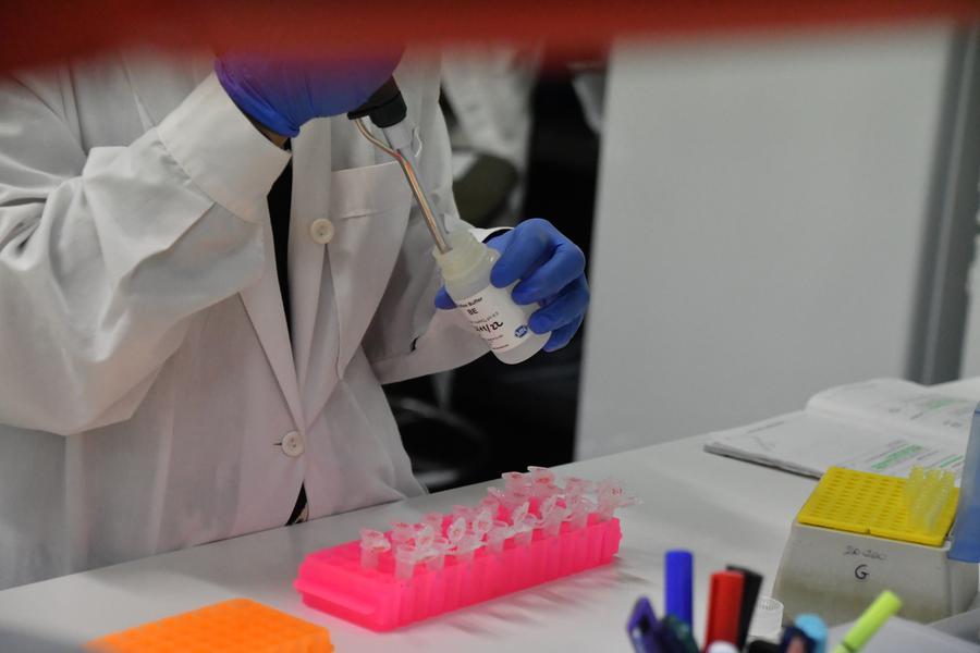 Nel progetto genoma umano dal 2001 c’è tanta SardiNIA e il DNA di diecimila ogliastrini