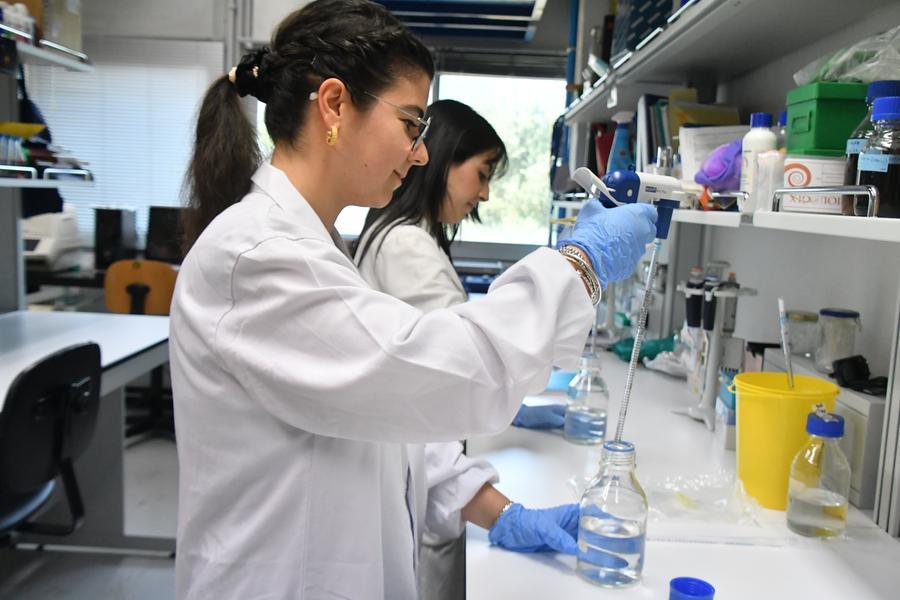 Una delle peculiarità del DSBM è la varietà multidisciplinare Nuove frontiere della terapia medica