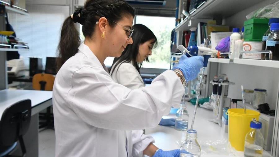Una delle peculiarità del DSBM è la varietà multidisciplinare Nuove frontiere della terapia medica