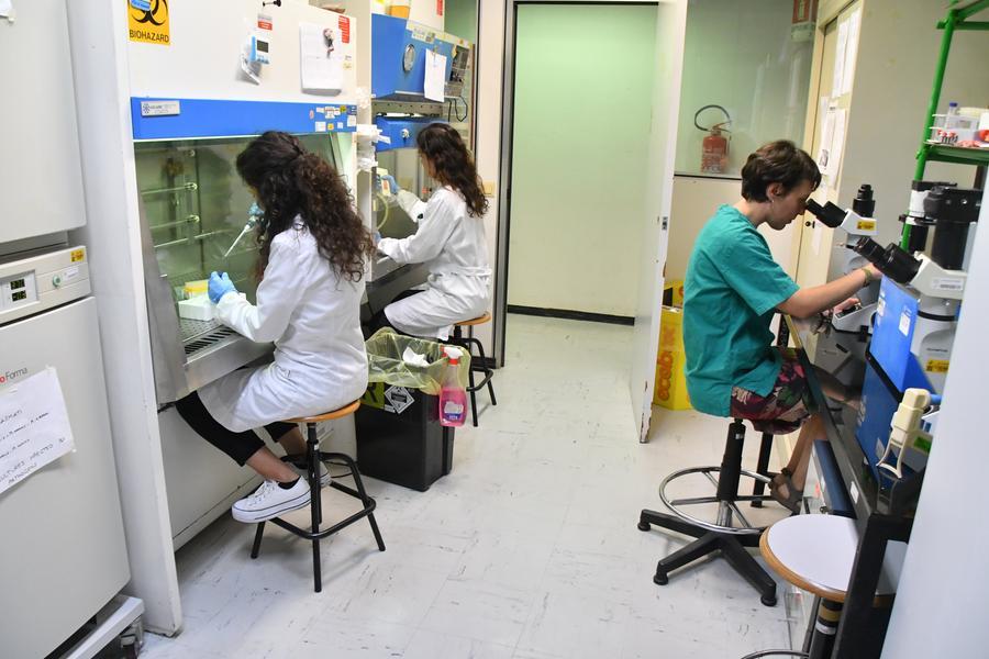 Dipartimento di Scienze Biomediche: innovazione, ricerca e multidisciplinarietà