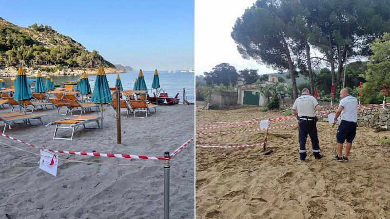 Elba, si cercano volontari per presidiare i nidi delle tartarughe marine