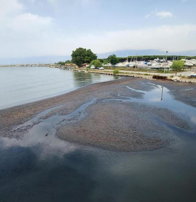 Un’enorme isola di alghe alla foce del fiume Cecina