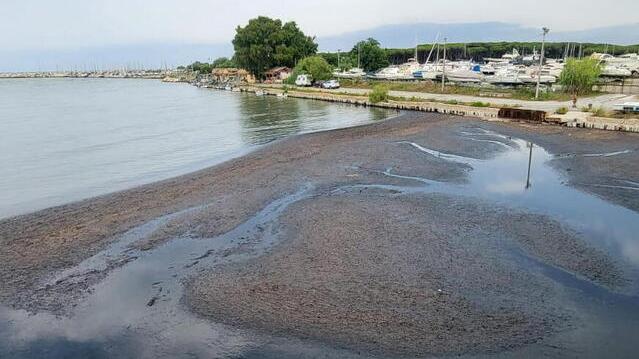 Un’enorme isola di alghe alla foce del fiume Cecina
