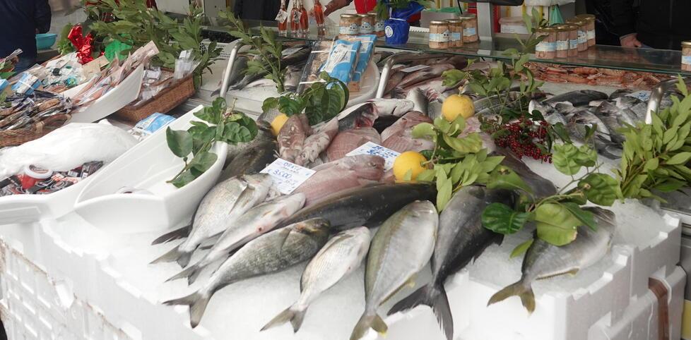 Il costo socio-economico del pesce&nbsp;scartato perché non trova mercato<br type="_moz" />
