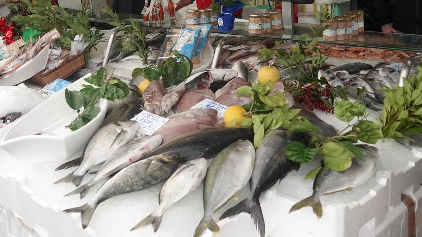 Il costo socio-economico del pesce scartato perché non trova mercato<br type="_moz" />