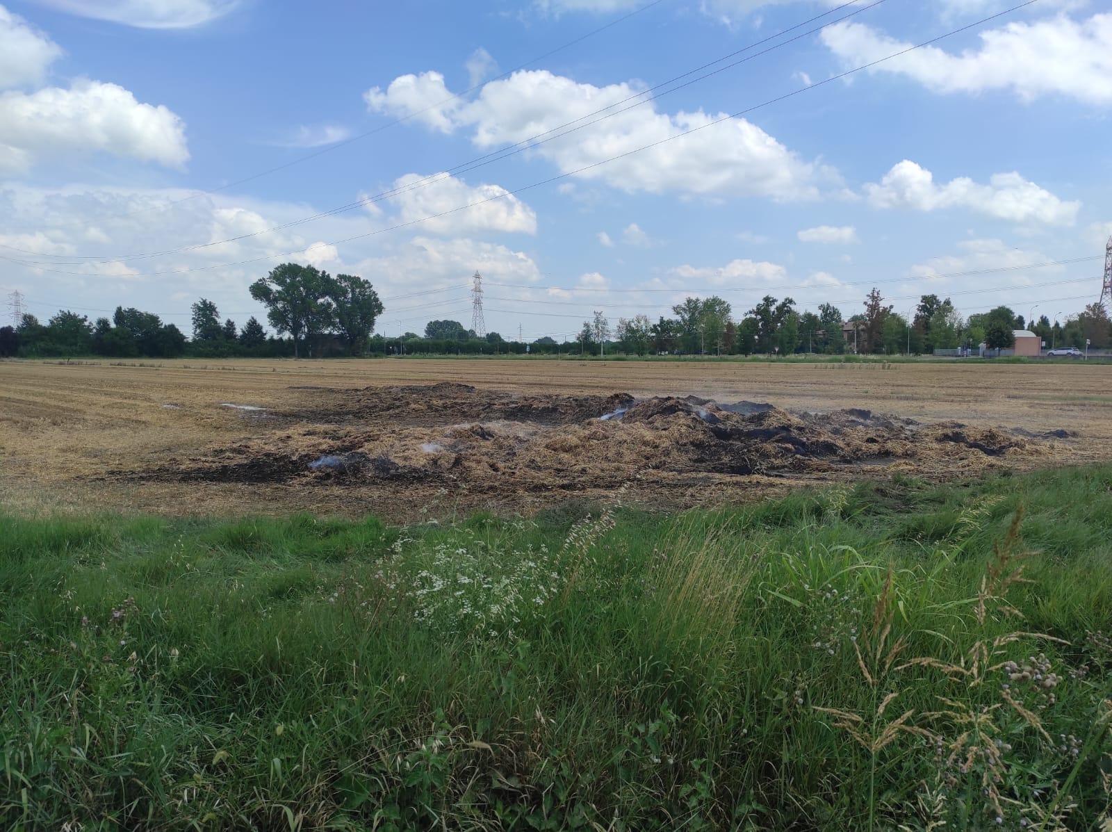 Modena. Dà fuoco a un campo alla Gherbella
