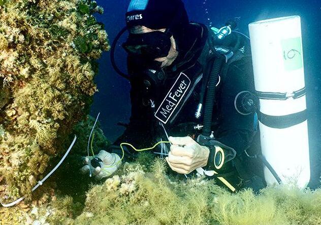 L’anticiclone arroventa i sardi e surriscalda i mari dell’isola