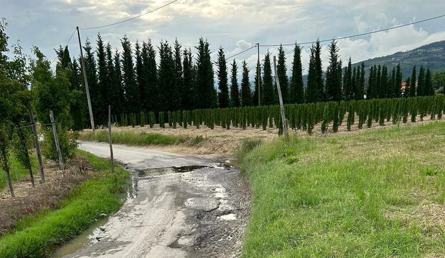 «La strada è invasa dalle buche». La denuncia del comitato di Chiesina Montalese