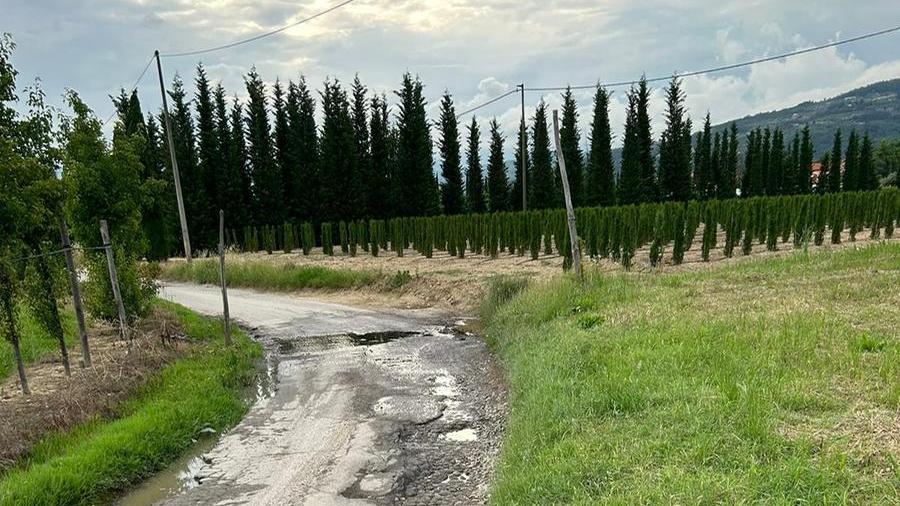 «La strada è invasa dalle buche». La denuncia del comitato di Chiesina Montalese